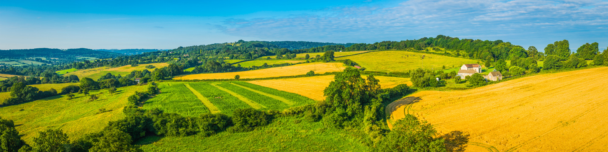 Agricultural & Business Property Relief - Beyond the Basics - Live at Your Desk