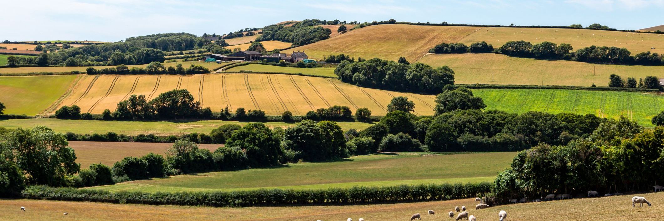 Agricultural Tenancies - Latest Guidance & Regulations Explored