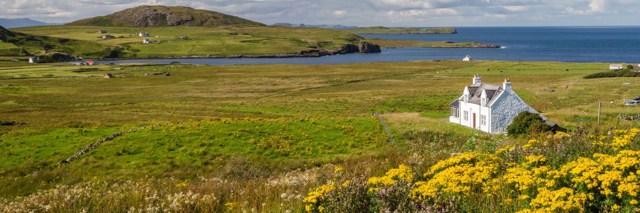 The Rural Landscape in Scotland - What’s New? - Live at Your Desk