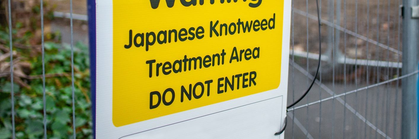 Japanese Knotweed - A Guide to the Legal Challenges