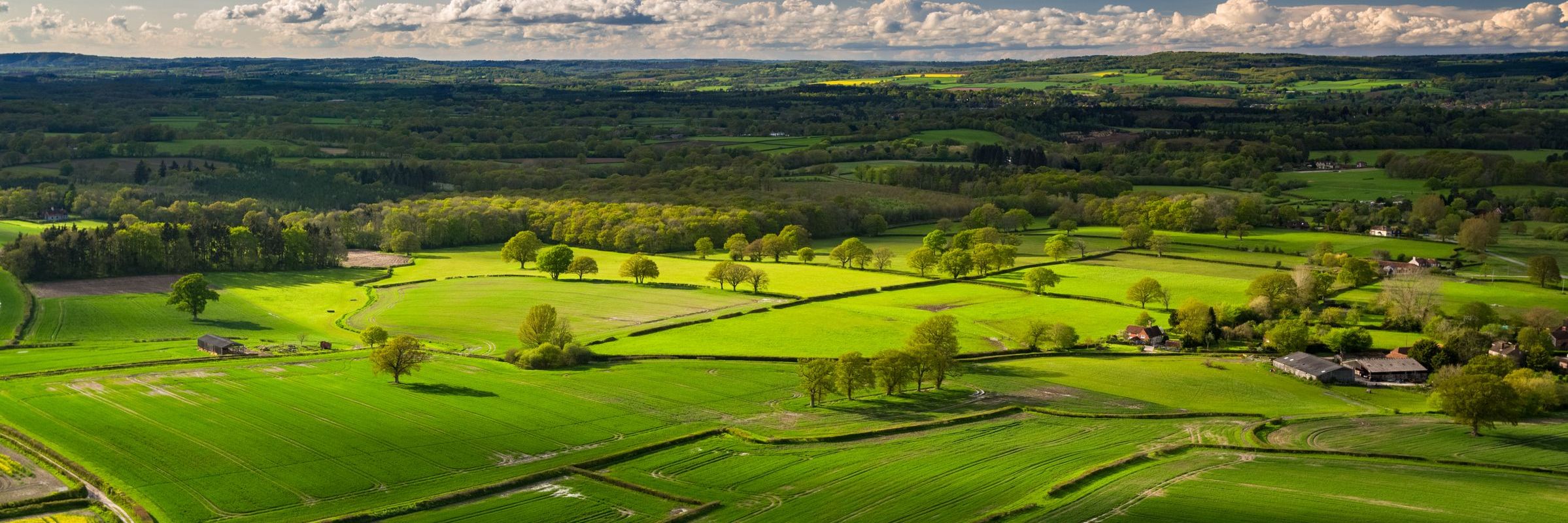 Agricultural Diversification & Planning - A Practical Guide to the Key Issues