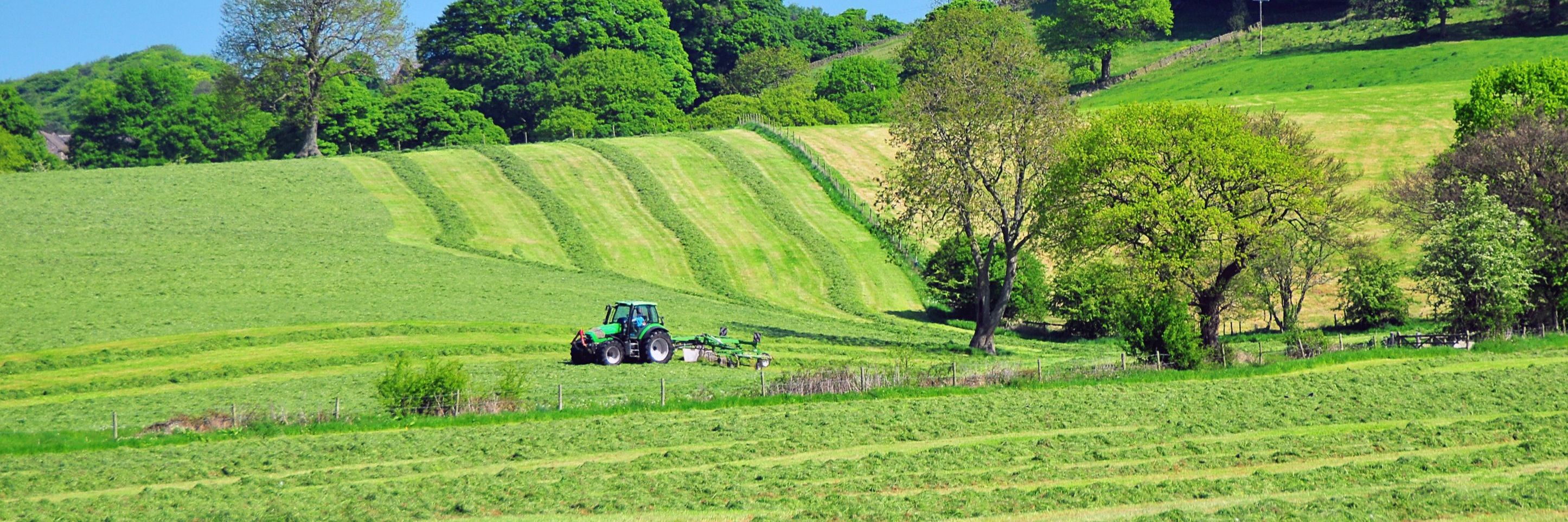 Rural Arbitration in Agricultural Property & Asset Disputes - Key Procedures & More